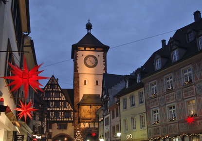 Blick auf Freiburg im Breisgau