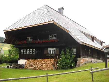 Traditioneller Schwarzwaldhof in der Landschaft